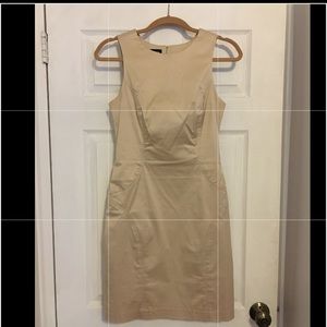 Bebe fitted cotton/spandex dress